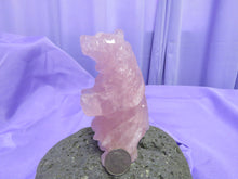 Load image into Gallery viewer, Rose Quartz Hand Carved Bear